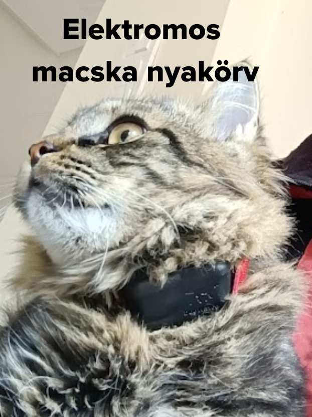 elektromos macska nyakrv