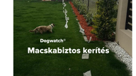 Dogwatch láthatatlan macskakerítés
