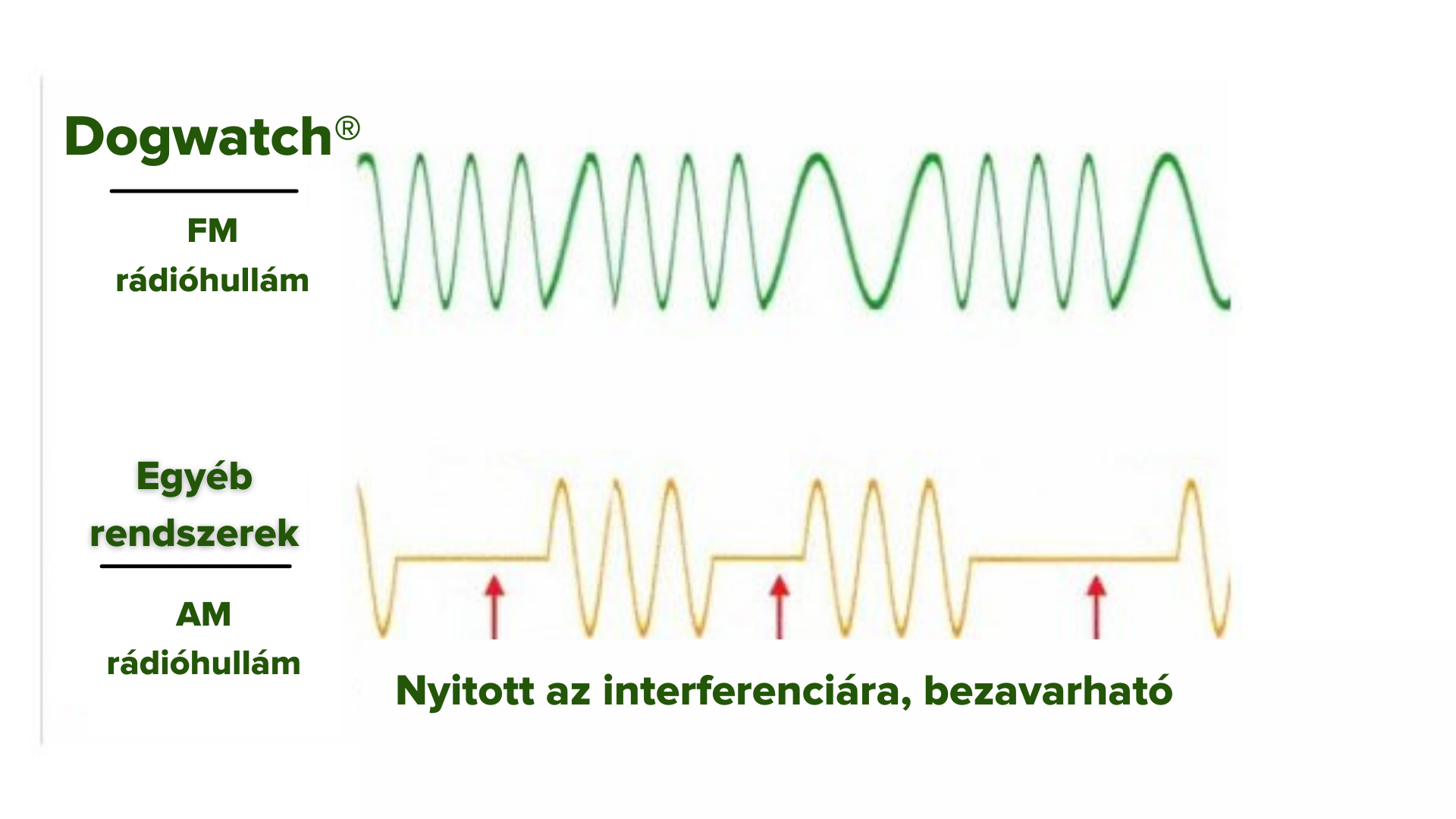 lthatatlan kutyakerts